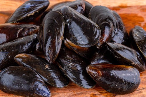 Fresh mussels arranged on a wooden board