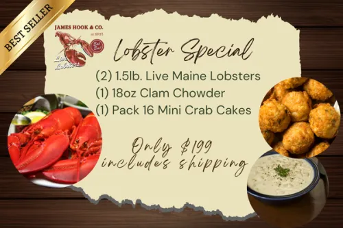 Offer graphic showing the lobster special featuring two 1.5-pound live Maine lobsters, clam chowder, mini crab cakes, and shipping included