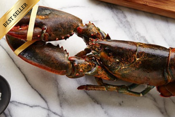 Small Live Lobster $19.99/lb. (1.25LB)